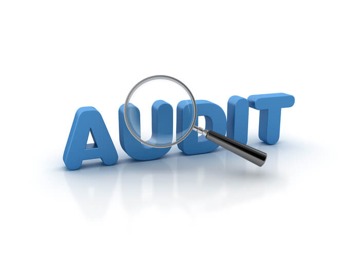 4.1 Tax audit services
